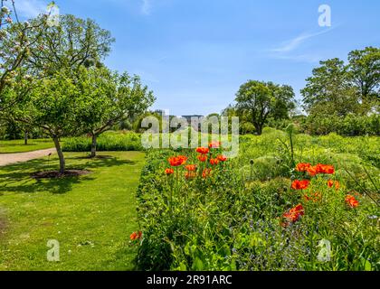 Beauté naturelle du jardin botanique d'Oxford en été. Banque D'Images