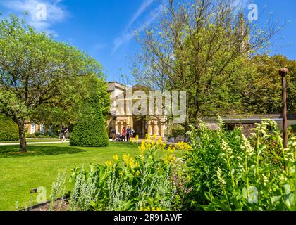 Beauté naturelle du jardin botanique d'Oxford en été. Banque D'Images