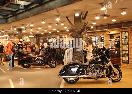 23 juin 2023. Budapest, Hongrie Festival d'anniversaire Harley-Davidson 120th. Le plus grand festival de moto d'Europe dans le parc Puskás Arena de la capitale hongroise. Crédit: Ilona Barna BIPHOTONEWS/Alamy Live News Banque D'Images