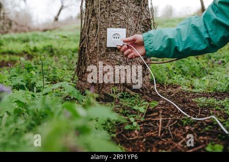 Homme qui branche la prise électrique dans le coffre de l'arbre Banque D'Images