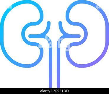 Icône de vecteur linéaire à gradient parfait de pixels des reins Illustration de Vecteur