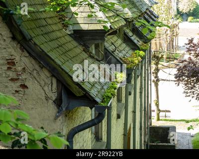 Les maisons poussent de la mousse verte sur le toit en conséquence Oh haute humidité. Banque D'Images