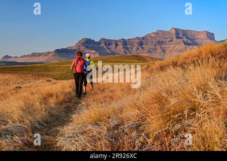 Homme et femme en randonnée par beau temps au KwaZulu-Natal, Drakensberg, Afrique du Sud Banque D'Images