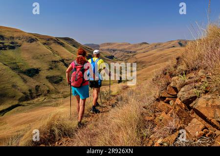 Homme et femme matures marchant dans la vallée du KwaZulu-Natal, Drakensberg, Afrique du Sud Banque D'Images