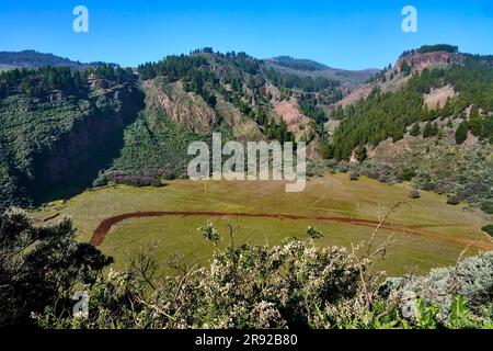 Caldera de los Marteles, le cratère effondré est maintenant utilisé pour l'agriculture, les îles Canaries, Gran Canaria, Caldera de los Marteles Banque D'Images