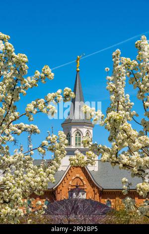 Le temple Provo LDS Banque D'Images