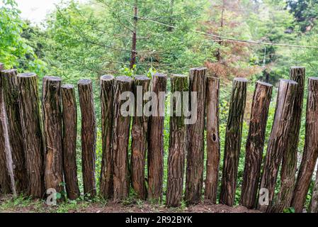 Mur en bois de sciage comme une texture de fond Banque D'Images