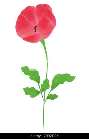 Fleur de coquelicot Aquarelle élément illustration vectorielle pour le jour du souvenir, le jour d'Anzac isolé sur fond blanc Illustration de Vecteur