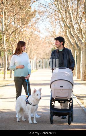 Homme et femme enceinte marchant avec leur chien et poussette dans un parc. Famille. Banque D'Images