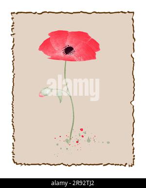 Fleur de coquelicot aquarelle élément dessin vectoriel illustration isolée sur cadre vintage Illustration de Vecteur