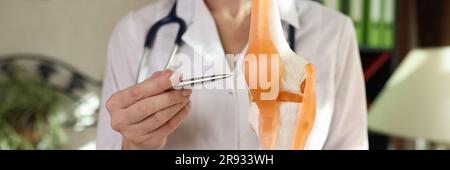 Médecin traumatologue montrant les ligaments et les muscles sur le modèle artificiel de l'articulation du genou humain Banque D'Images