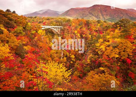 Gorge de Naruko avec feuilles d'automne dans toutes les montagnes Banque D'Images