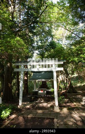 Sanctuaire Hakone Hakuryu Banque D'Images