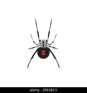 Araignée veuve noire, Latrodectus, insecte, insecte Illustration de Vecteur