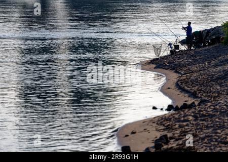 Cologne, Allemagne. 24th juin 2023. Les pêcheurs à la ligne ont jeté leurs cannes à pêche le matin sur les rives du Rhin près de Cologne-Langel. Credit: Henning Kaiser/dpa/Alay Live News Banque D'Images