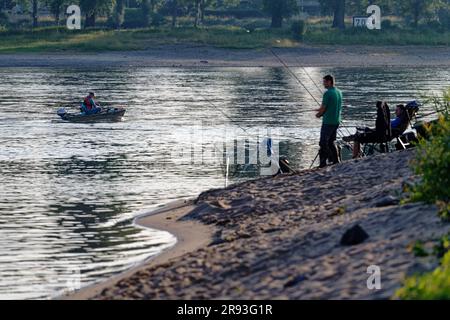 Cologne, Allemagne. 24th juin 2023. Les pêcheurs à la ligne ont jeté leurs cannes à pêche le matin sur les rives du Rhin près de Cologne-Langel. Credit: Henning Kaiser/dpa/Alay Live News Banque D'Images