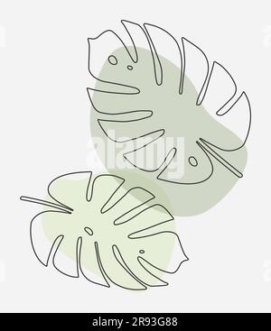 Monstera laisse dans un trait.une ligne dessin art. Illustration vectorielle minimale abstraite Illustration de Vecteur