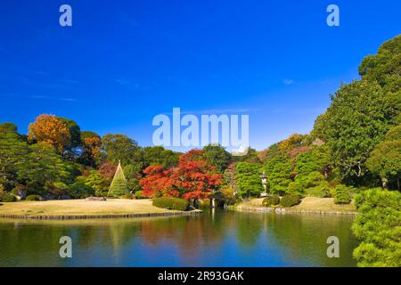 Couleurs d'automne à Rikugien Banque D'Images