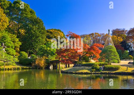 Couleurs d'automne à Rikugien Banque D'Images