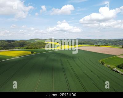 Vue d'en haut d'un paysage avec champ de blé en pleine croissance, champ de canola en fleurs, une route et un ciel bleu agréable avec des nuages blancs au printemps Banque D'Images