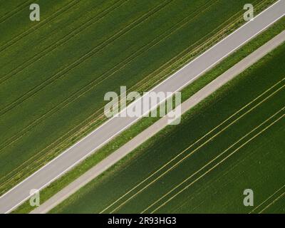 Vue depuis le dessus d'une route vide et d'une piste cyclable parmi les champs de blé en pleine croissance au printemps Banque D'Images