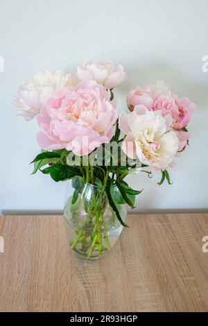 Bouquet de grandes roses pivoines de couleur rose clair Banque D'Images