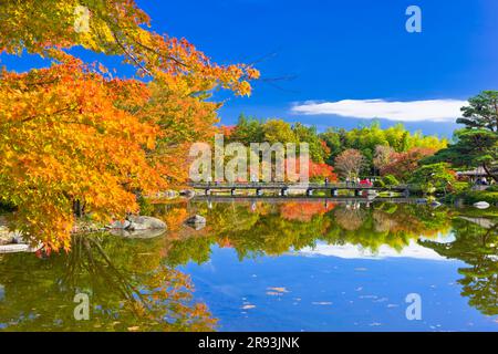 L'automne part dans Showa Kinen Park Banque D'Images