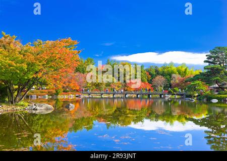 L'automne part dans Showa Kinen Park Banque D'Images