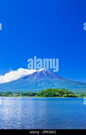 Mt. Fuji et le lac Kawaguchiko Banque D'Images