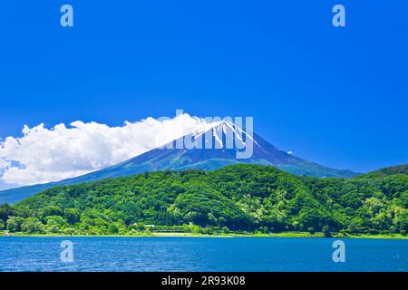 Mt. Fuji et le lac Kawaguchiko Banque D'Images