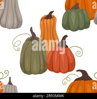Motif vectoriel rustique avec composition de citrouilles sur fond blanc. Texture végétale confortable d'automne. Fond rural pour papier d'emballage Illustration de Vecteur