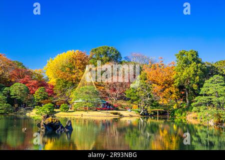 Couleurs d'automne à Rikugien Banque D'Images