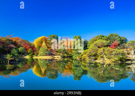 Couleurs d'automne à Rikugien Banque D'Images