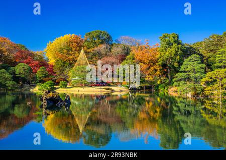 Couleurs d'automne à Rikugien Banque D'Images