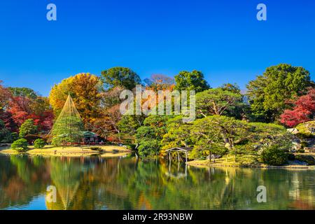 Couleurs d'automne à Rikugien Banque D'Images