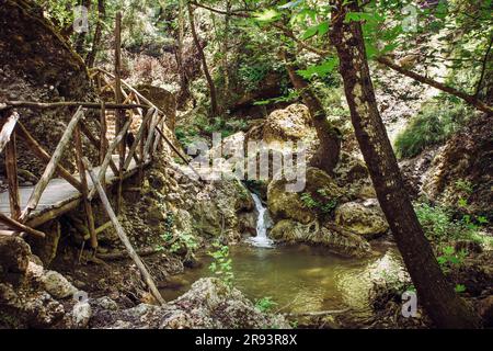 Vallée des papillons ou Vallée des papillons à Rhodes en Grèce. Magnifique parc avec des allées et des ruisseaux en été. Banque D'Images