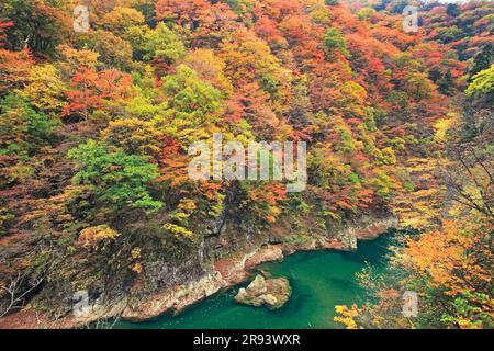 Feuilles d'automne dans la vallée de Dakigaeri Banque D'Images