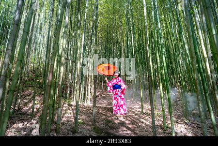 Une touriste féminine dans un kimono japonais dans la forêt de bambou de Tu le commune, district de Van Chan, province de Yen Bai, Vietnam Banque D'Images