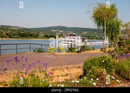 Braubach, 24th juin 2023 : le bateau à aubes Goethe navigue à Braubach, une petite ville de la vallée du Rhin supérieur en Allemagne. Banque D'Images