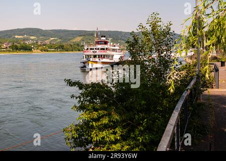 Braubach, 24th juin 2023 : le bateau à aubes Goethe navigue à Braubach, une petite ville de la vallée du Rhin supérieur en Allemagne. Banque D'Images