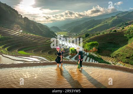 Une jeune famille de H'Mong transportant des semis de riz se prépare à planter du riz à Mu Cang Chai, province de Yen Bai, Vietnam Banque D'Images