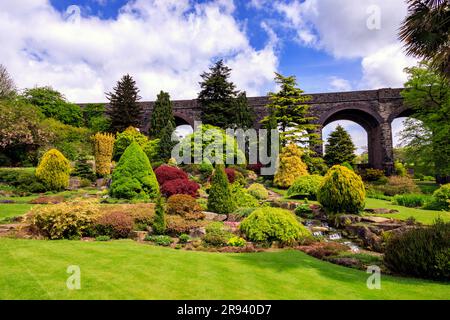 Une exposition colorée de fleurs et de feuilles de printemps dans le jardin de Kilver court, Shepton Mallet, Somerset, Angleterre, Royaume-Uni Banque D'Images