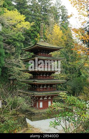 Pagode de cinq étages du temple de Muroji dans les feuilles d'automne Banque D'Images