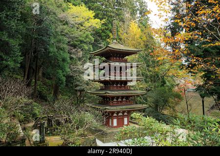 Pagode de cinq étages du temple de Muroji dans les feuilles d'automne Banque D'Images