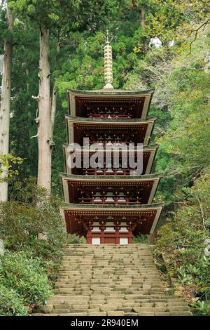 Pagode de cinq étages du temple de Muroji dans les feuilles d'automne Banque D'Images