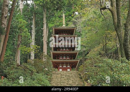 Pagode de cinq étages du temple de Muroji dans les feuilles d'automne Banque D'Images