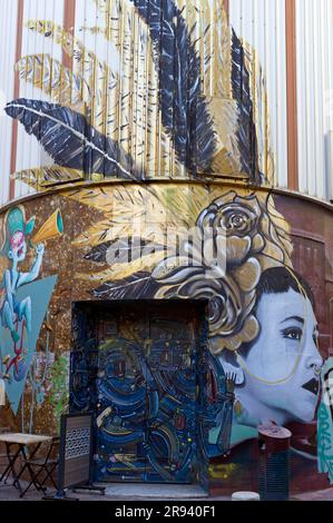 Le Royal Occupé : ancien cinéma du centre-ville depuis juin 2016, il est devenu un lieu culturel emblématique. Évacué par la police le 05/11/2017. Street Art, graffiti sur les façades. Montpelier, Occitanie, France Banque D'Images