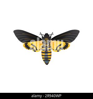 L’insecte de la tête de la mort, Acherontia Atropos Insect, Bug Illustration de Vecteur
