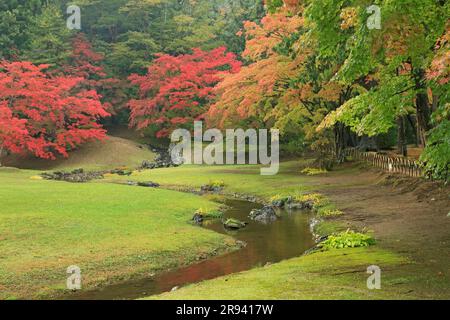 Temple Motsuji dans les feuilles d'automne Banque D'Images