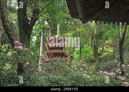 Pagode à cinq étages et rhododendrons au temple de Muroji Banque D'Images